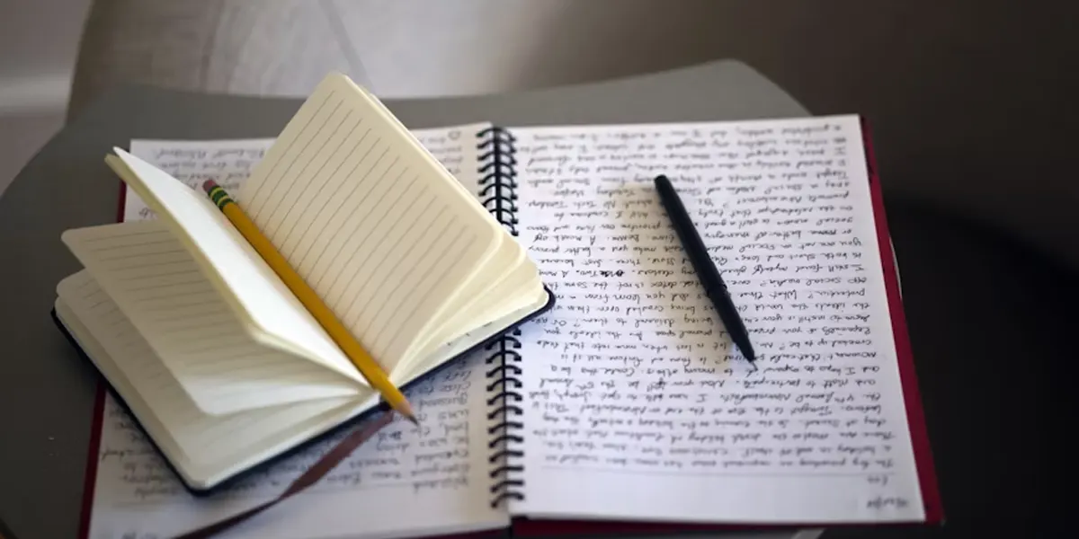 Compare and Contrast Essay: Outline and Examples