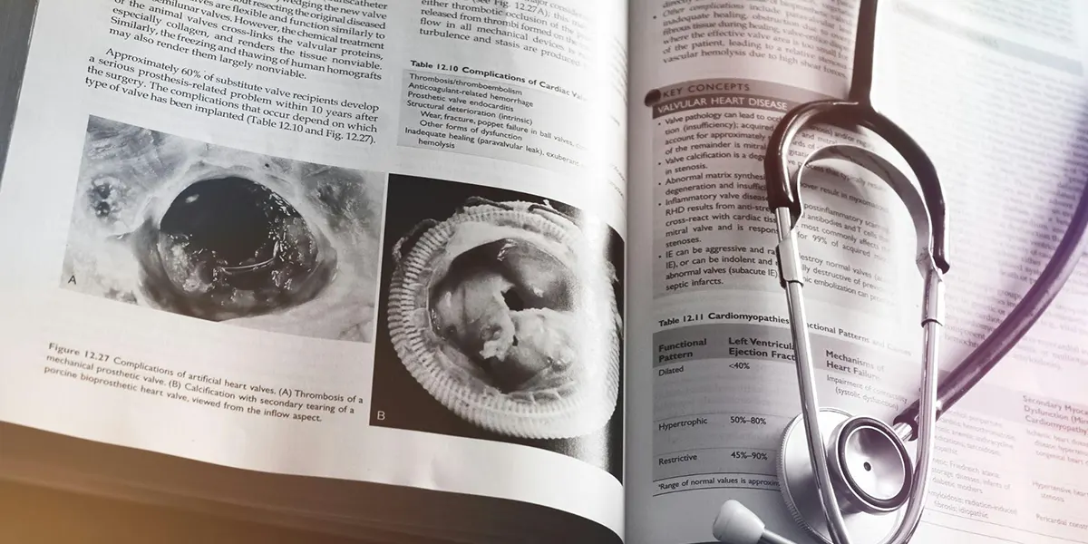 Nursing Assignment Help Supports Future Healthcare